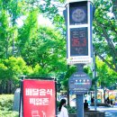 환상 어린이공원 이미지