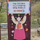 제1148차 김천 수도산/인현왕후길&무릉구곡 계곡트레킹 이미지