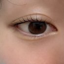 달플로르 | 안동 경북도청 속눈썹펌 베이직펌 후기 ｜벨플로르