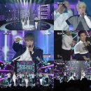 더제스트 뉴스1