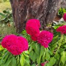 진남역 앞 이미지