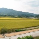 대황강 자연휴식공원 이미지