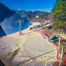 애니 골프 | 용평 애니포레 애견동반 할인 모노레일 후기