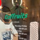 커푸르츠(coffruits) 이미지