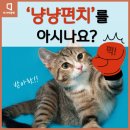 냥냥 이미지