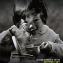 동강사진박물관 이미지