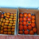 임실치즈마을 이미지