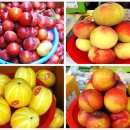 장성중앙시장 이미지