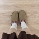 호주공구 | 호주어그 ugg어그 어그공구 메리제인 타즈만 오즈웨어 후기