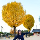 원수산 생태공원 공원입구 | 경남 밀양 가볼만한곳 단풍 영남루 용두산 생태공원