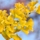 정복태양광 이미지