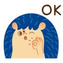 비이플러스 이미지