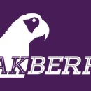 베리코스 이미지