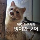 멍이와 쿤이 이미지