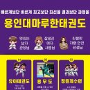 용인대 마루한 태권도 이미지