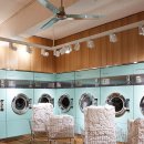 아이디어안경 이미지