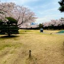 태광교통 이미지