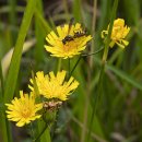 오케이목장 이미지