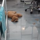 제이앤제이그루밍 이미지