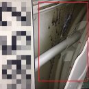 인정자동차정비공업사 이미지