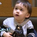 상도태권도 네이버블로그