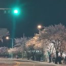 전주시(세내교) 네이버블로그