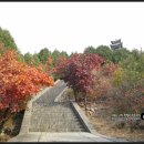 [11월5일[토] 홍뤄쓰(红螺寺): 빨간 단풍과 노란단풍이 아름다운 천년사찰 이미지