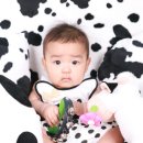 우리집 똥강아쥐 이미지