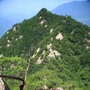 월송슈퍼 이미지