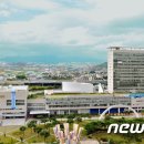 숲또래협동조합 이미지