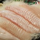 어영차바다야 - 목포시 용당로331번길 18-1 | 어영차바다야