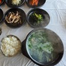 소나무정원 | 구례 화엄사 식사 맛집 소나무정원 내 돈 내산 후기