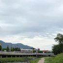자유시장 화장실 | [충주/충인동] 충주맨 단골 또간집 출연, 쫄면 맛집 자유시장 &#39;오뚜기분식&#39; (with 충주천 산책)