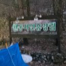 성불산자연휴양림 캠핑장 | 🌿 양산 원동자연휴양림 캠핑장 후기｜계곡뷰 캠핑 + 먹방 제대로 하고 온 날