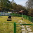 하나켄넬 이미지