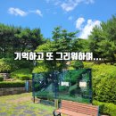대성장의개발
