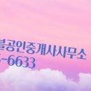 서해 공인중개사사무소 이미지