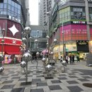 베이직필라테스 - 천안시 동남구 청당2길 99 | [미사] 비바레 필라테스 베이직 바레 후기