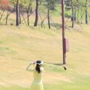 위비스볼빅대구