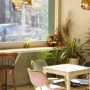 비비드13(vivid13) 이미지