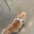 아지스테이션