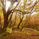 사려니 팬션 이미지