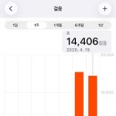 허가네삼겹살 | 4월 이야기🌳