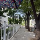 도당애견