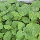 동원당한의원 이미지