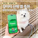 레이 | 반려견 산책 앱 추천｜강아지 산책하며 교보문고 포인트 쌓는 라플레이 후기