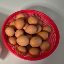 정가네 대구탕 | [아파트 장터]부산 대연자이아파트 과일야채부터 족발.순대.닭강정.폭립.돈까스 등 야식거리 가득(2.3주...