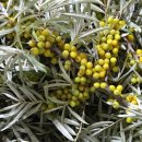 주경농장 이미지