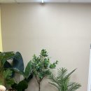 D+31주, 자연스러운 만삭사진 송도 셀프사진관 내가그린스튜디오 내돈내산 이용후기(주차정보, 배경컨셉)