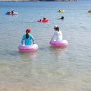 옥이민박 이미지